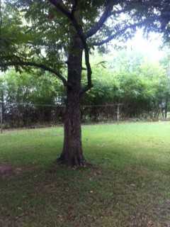 1303 W Main St - Photo 3 of 13