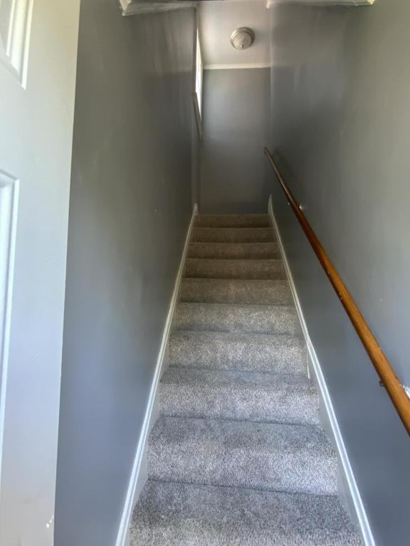 607 1/2 E Sheldon Columbus, OH 43207 - Photo 4 of 17