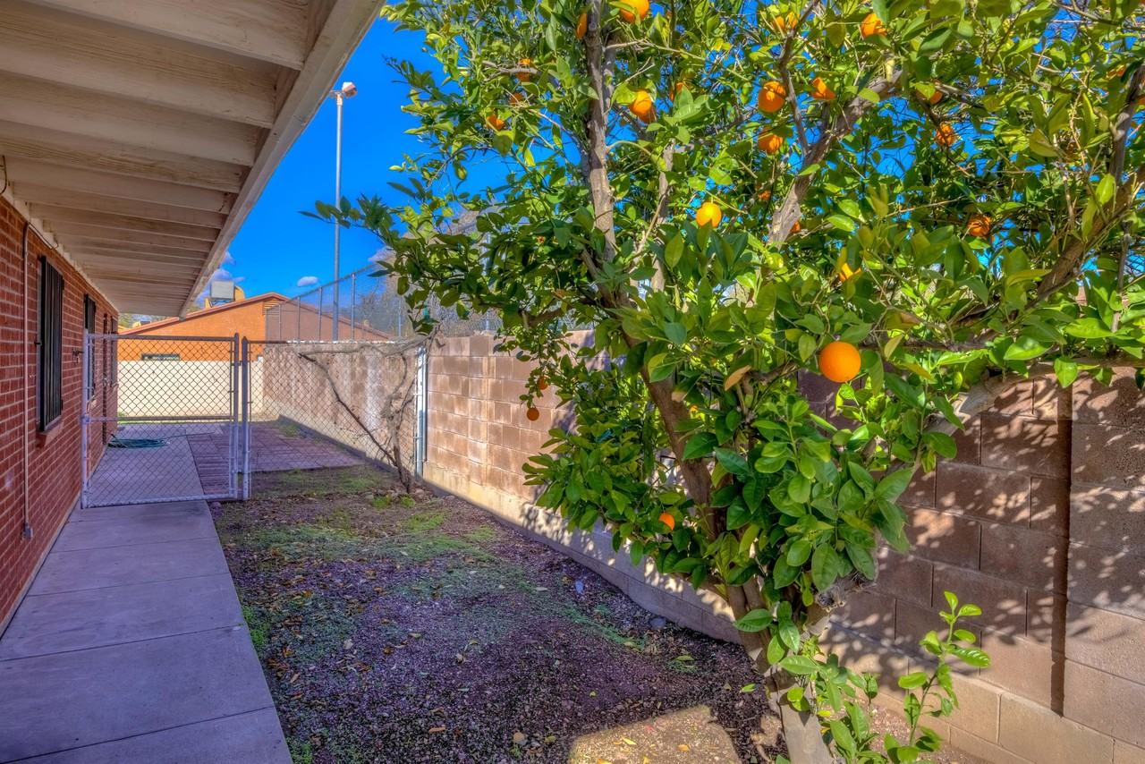 417 E Jacinto St #417 - Photo 3 of 33