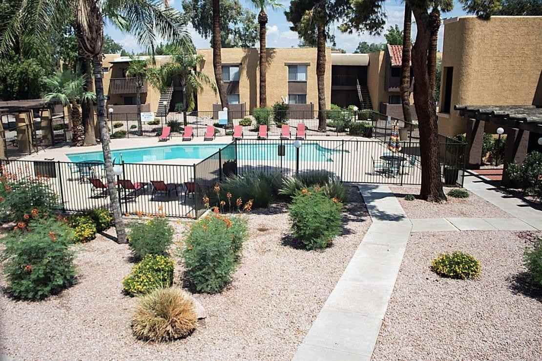 3161 W Cheryl Dr - Photo 6 of 15