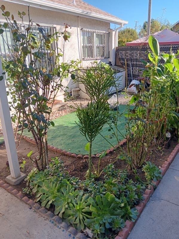 1989 E 20th St #1989 - Photo 3 of 13