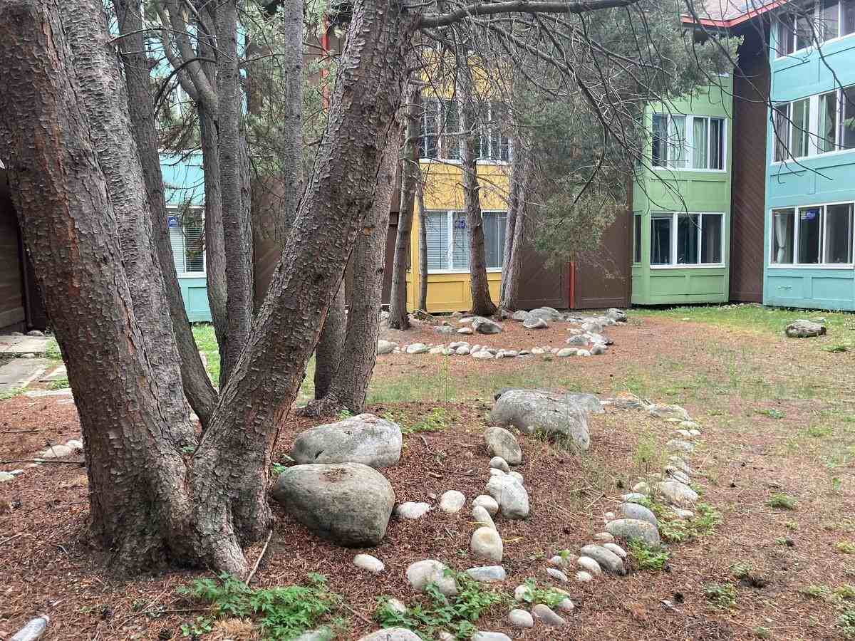 Cavell Apartments - Photo 2 of 5