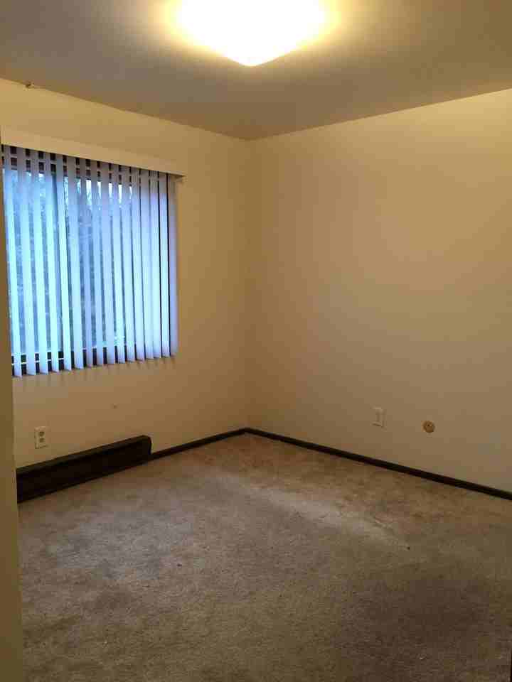 4329 Centennial Ct #29-04 - Photo 7 of 11