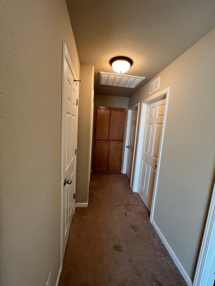 5639 Seedling Way - Photo 3 of 12