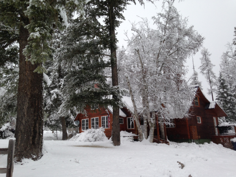 2110 Lion Mountain Loop Rd - Photo 2 of 9