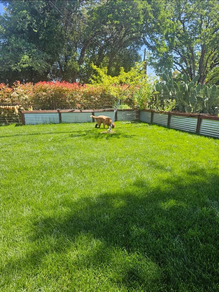 2092 Cold Springs Rd #NA - Photo 2 of 17
