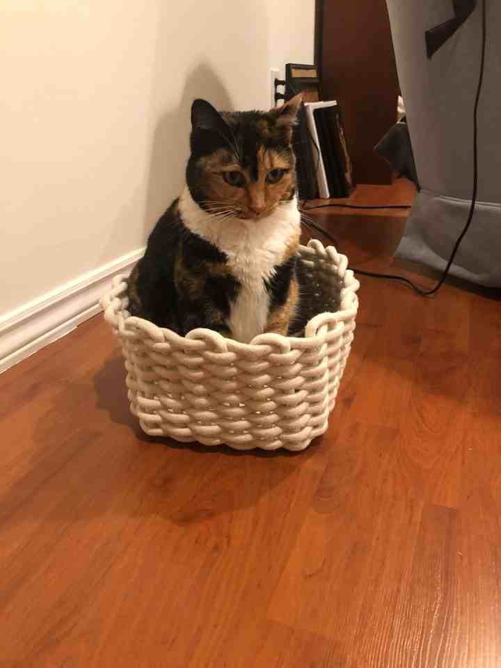 708 16th Street East - Photo 3 of 12