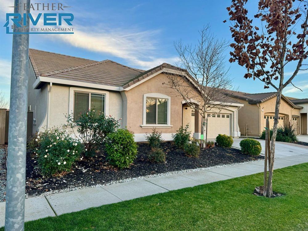 5555 Peach Tree Dr - Photo 2 of 2