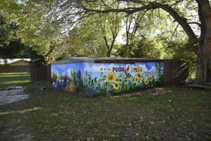 featured image of 234 Poor Farm Rd