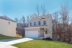 featured image of 115 Ireland Lane