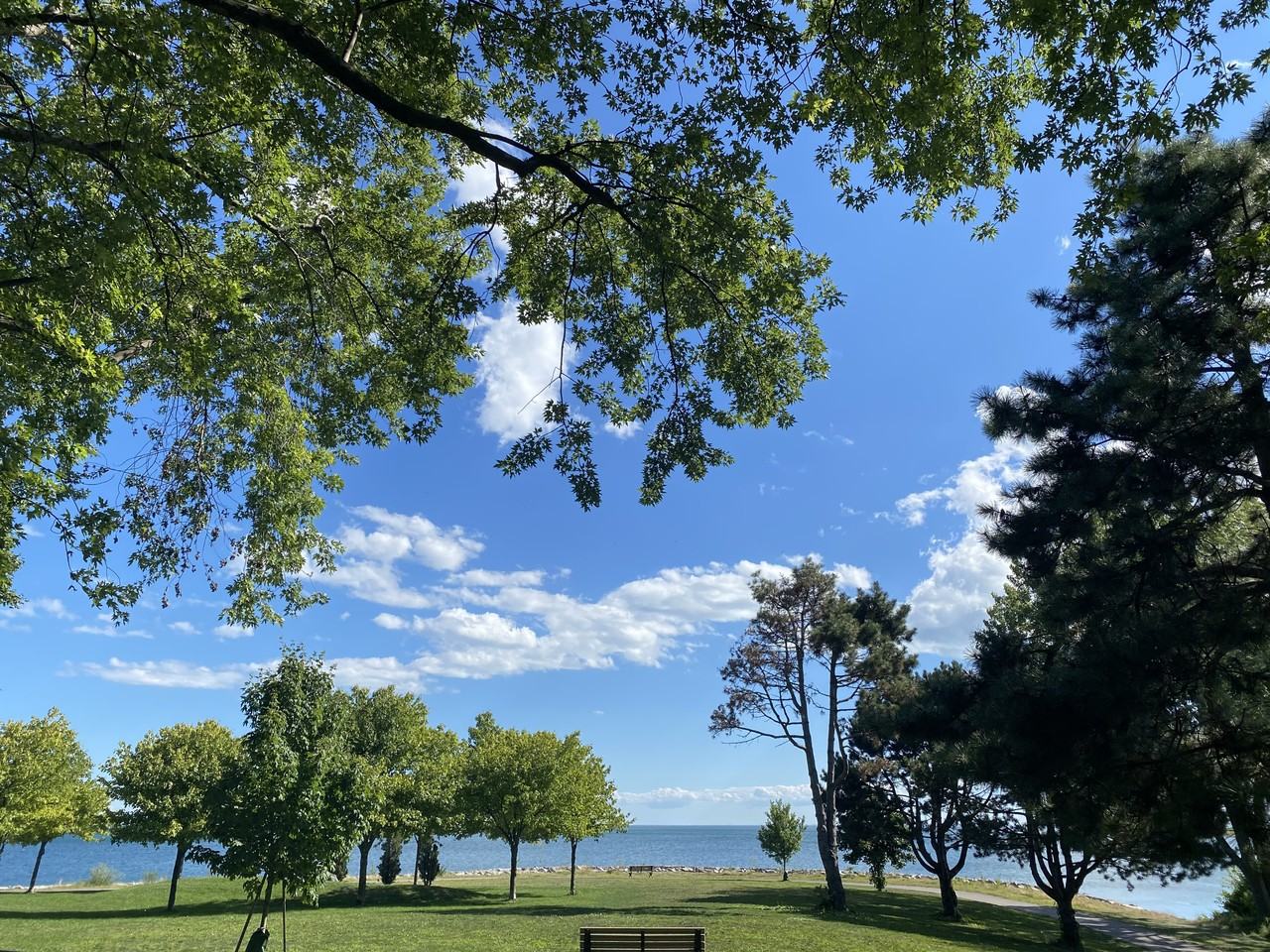 155 Lake Shore - Photo 7 of 8