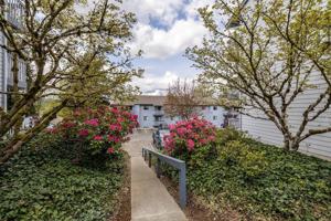 featured image of 2900 Limited Ln Nw