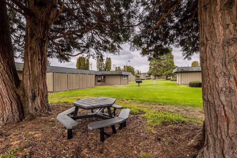 10214 Lakeview Ave Sw - Photo 3 of 10