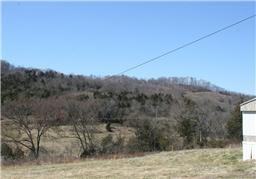 1380 Temperance Hall Rd - Photo 2 of 3