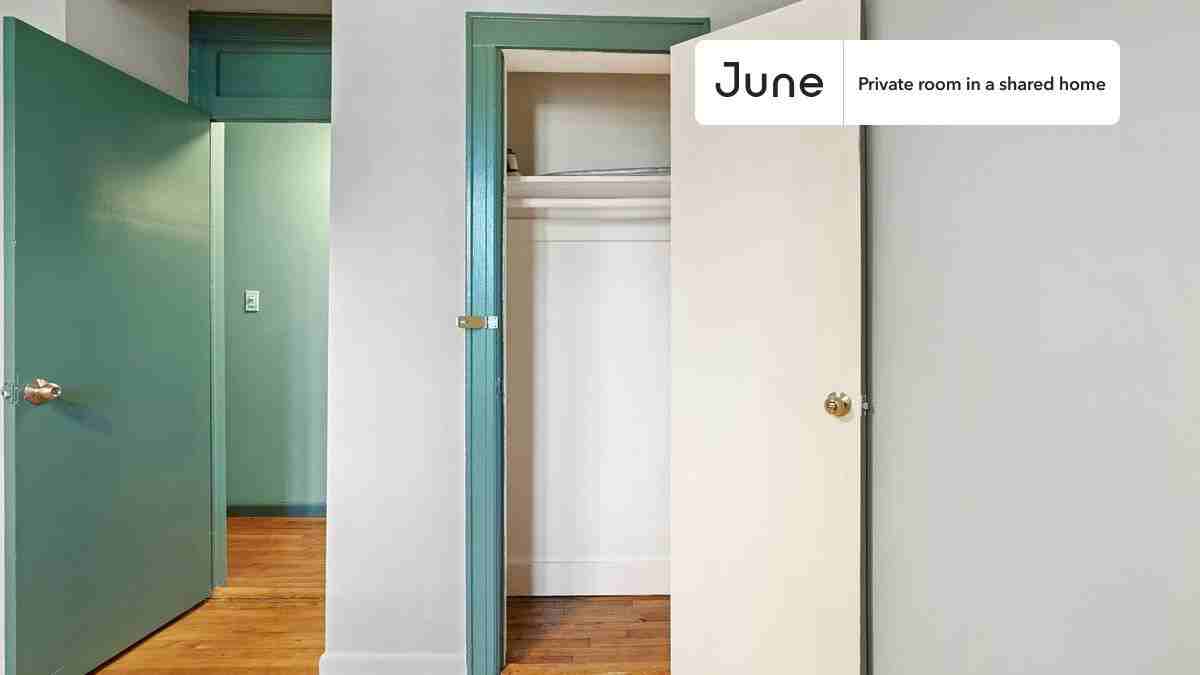 81 Olive St #A - Photo 4 of 15