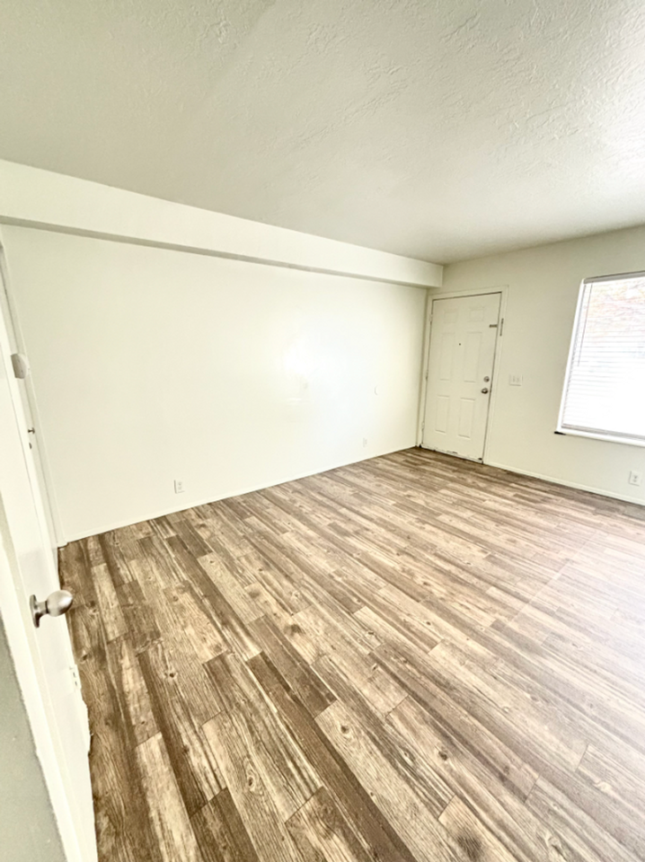 Aspen Valley - Photo 5 of 39