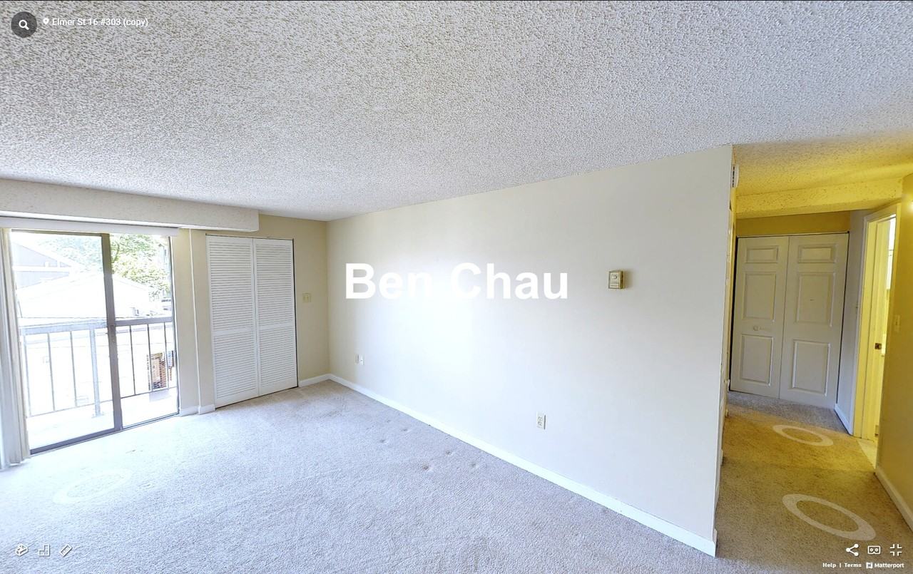 16 Elmer St #303B - Photo 5 of 13