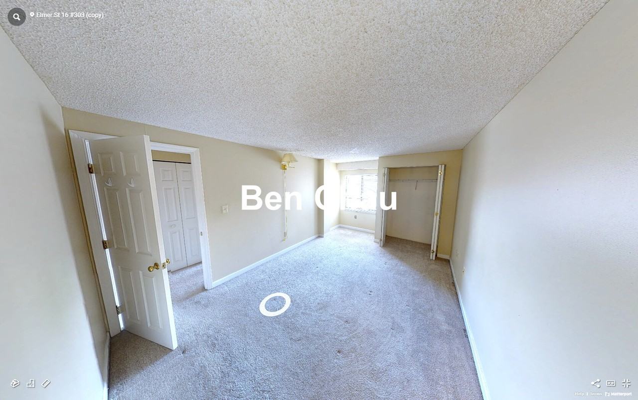 16 Elmer St #303B - Photo 6 of 13