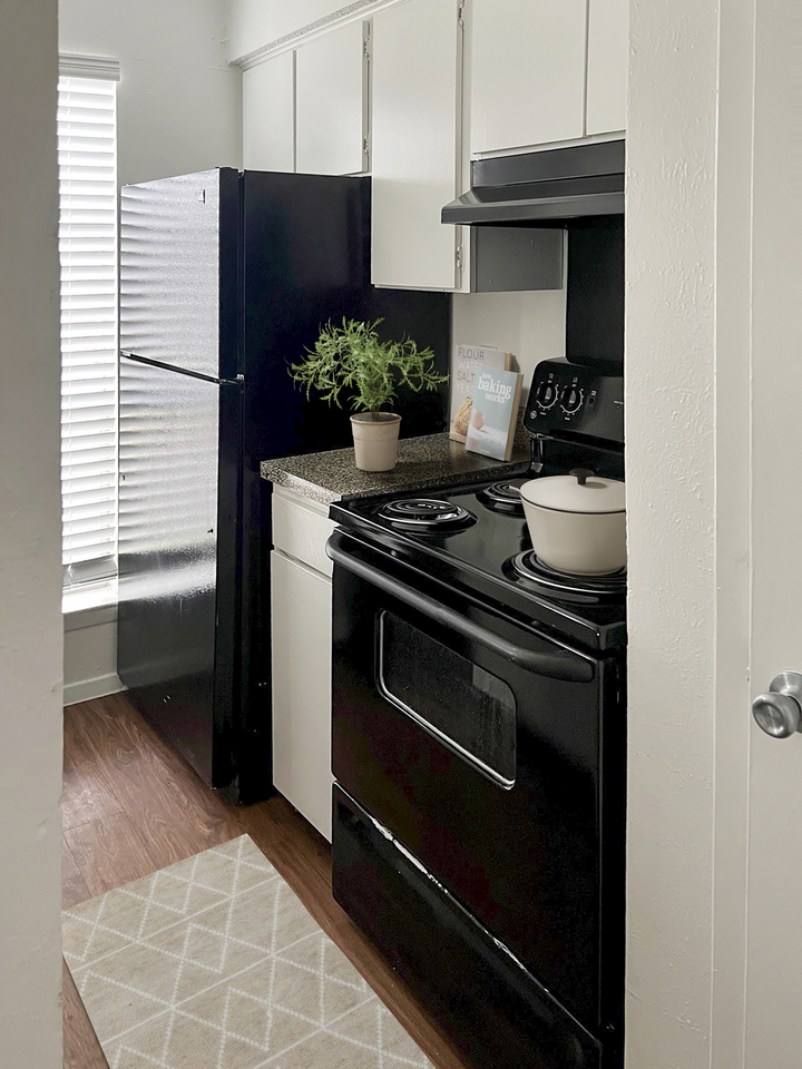 Turtle Dove 2 - Photo 4 of 5