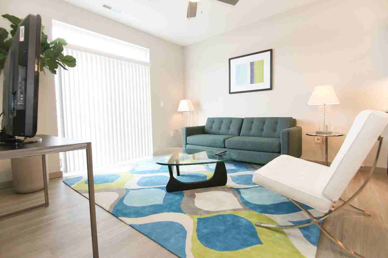 903 The Flats at 345 - Photo 3 of 31