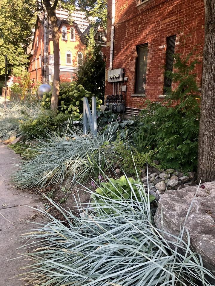 87C Sussex Ave - Photo 2 of 15