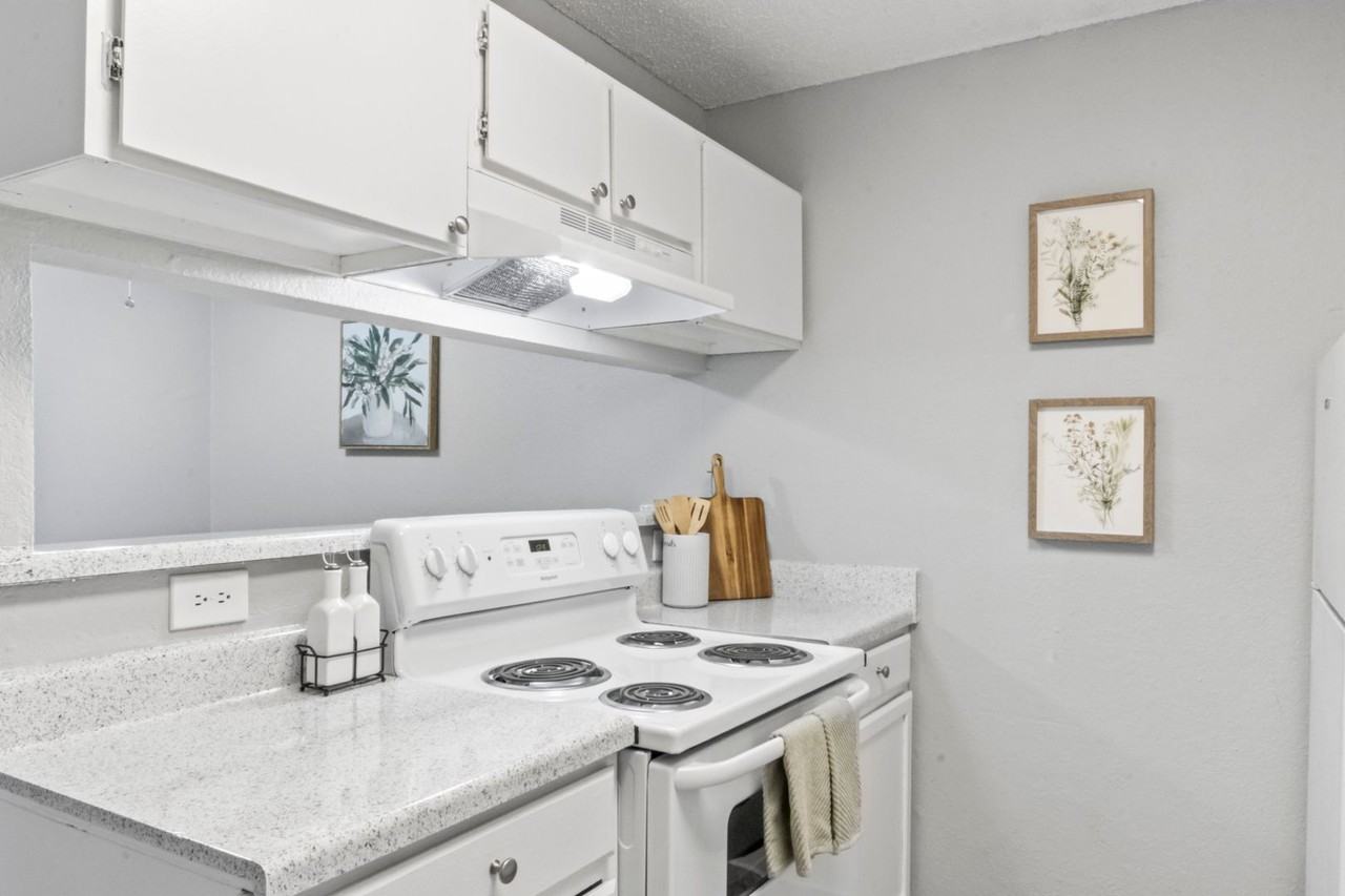 Boca Vista Apartments - Photo 5 of 19