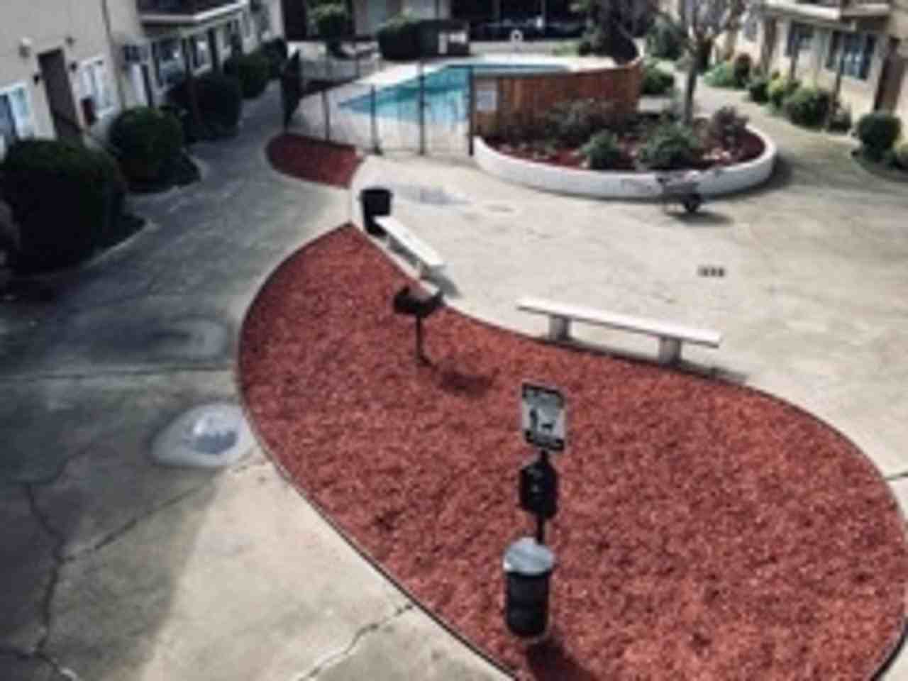 Carmichael Court - Photo 7 of 17