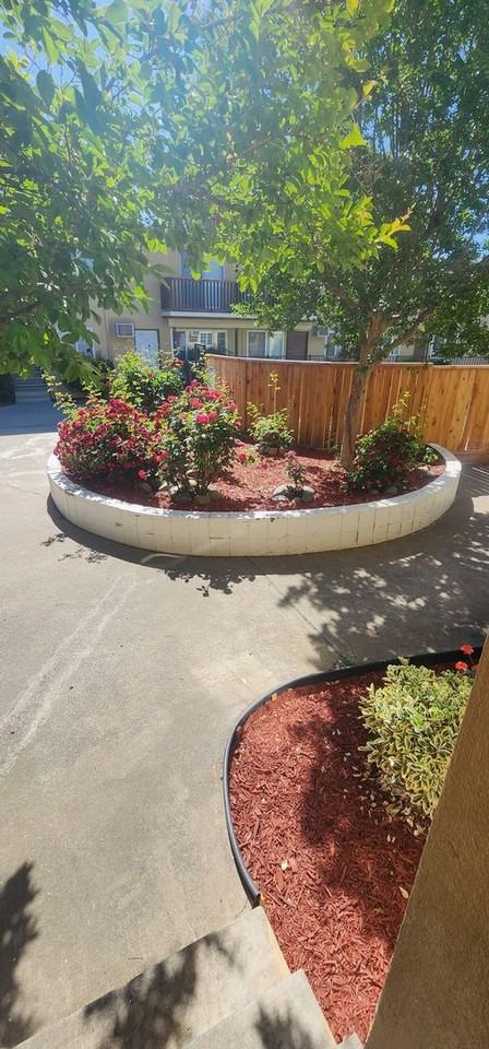 Carmichael Court - Photo 5 of 17