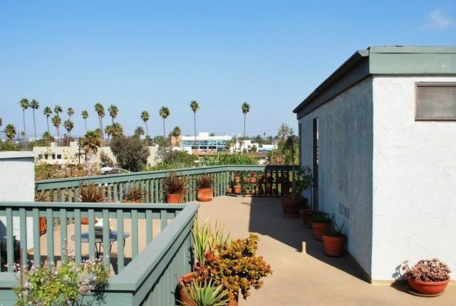 ven920 - Photo 4 of 10