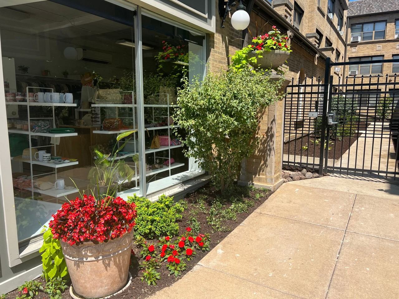 Curtiss - Photo 2 of 6