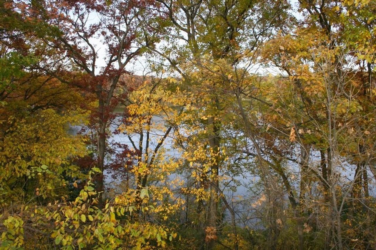 Cedar Pond Apartments - 7455 - Photo 5 of 7