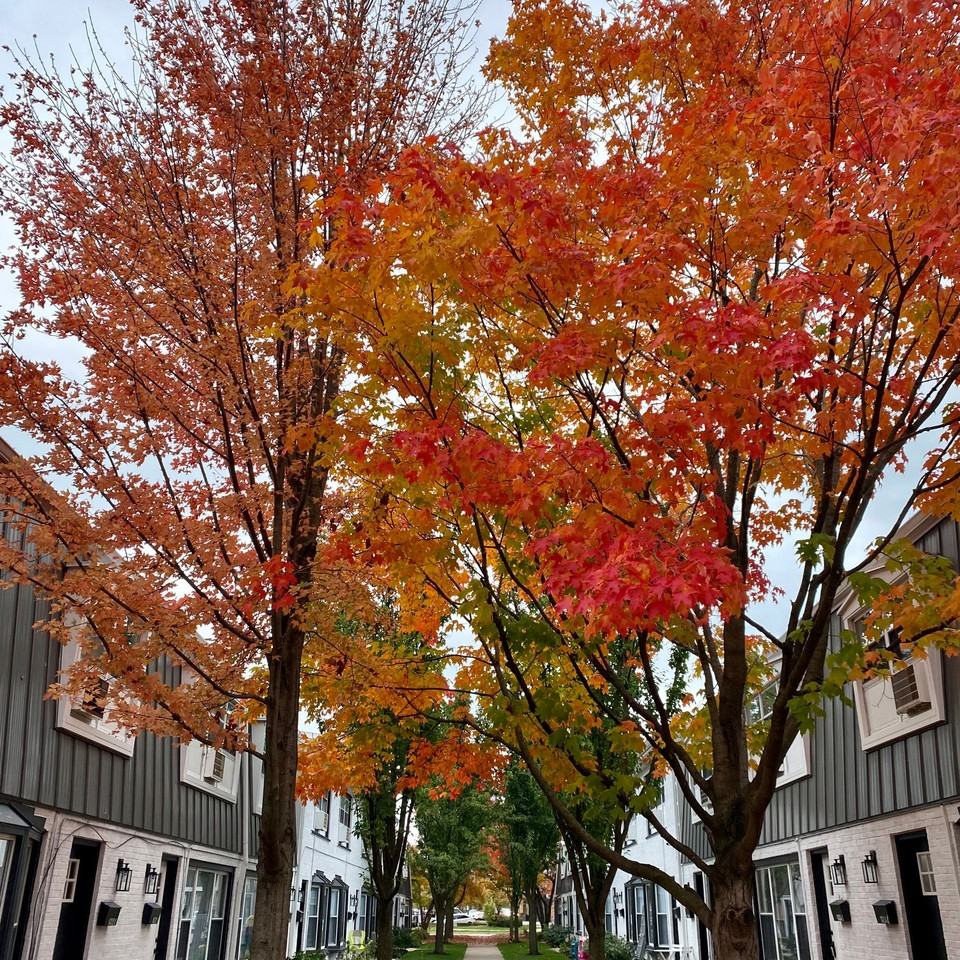Park Townhomes of Highland Park - Photo 4 of 27