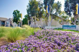 Summer Brook Apartments: Your Oasis of Comfort and Style - Photo 1 of 1