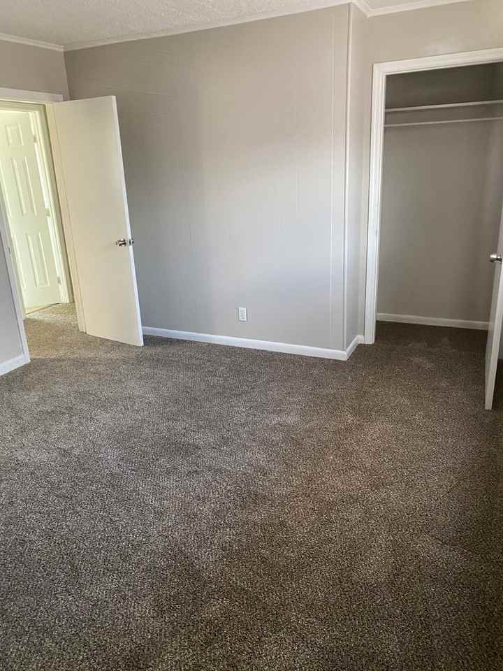 Newly Renovated Apartment Homes - Photo 3 of 11