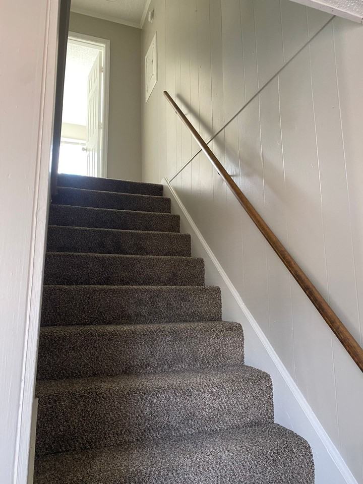 Newly Renovated Apartment Homes - Photo 6 of 11