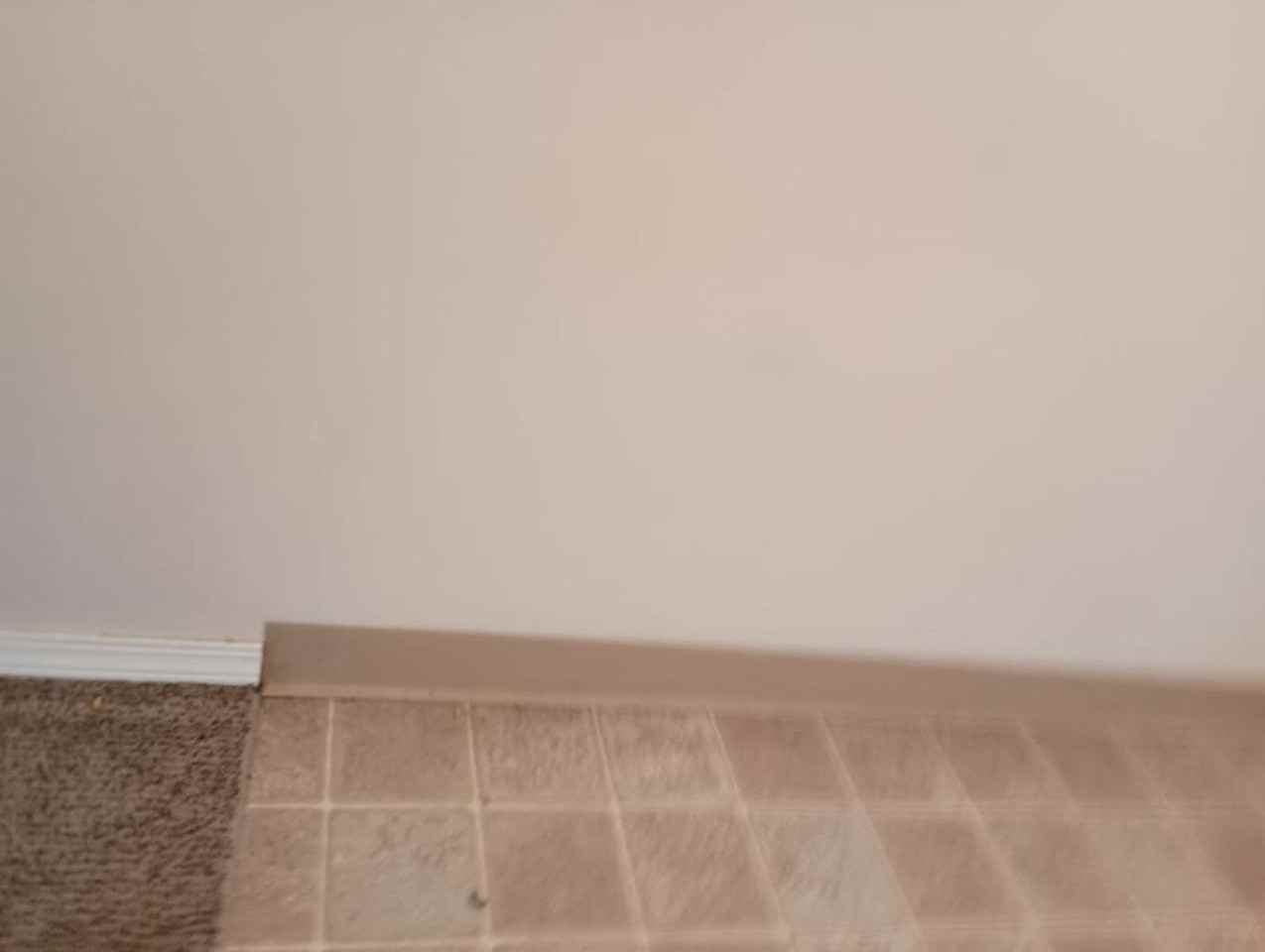 Pacific Village - Photo 2 of 6