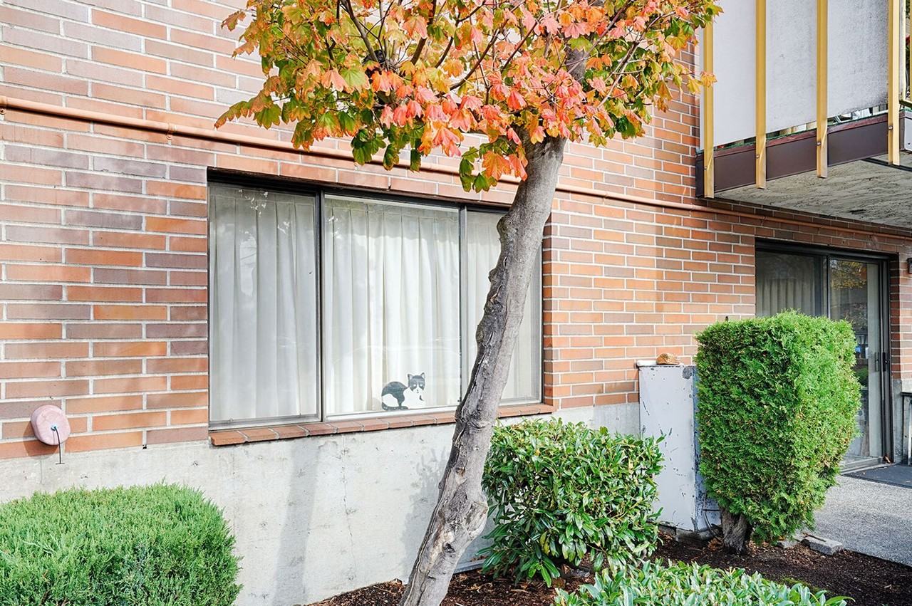 Northgate View Apartments - Photo 7 of 23