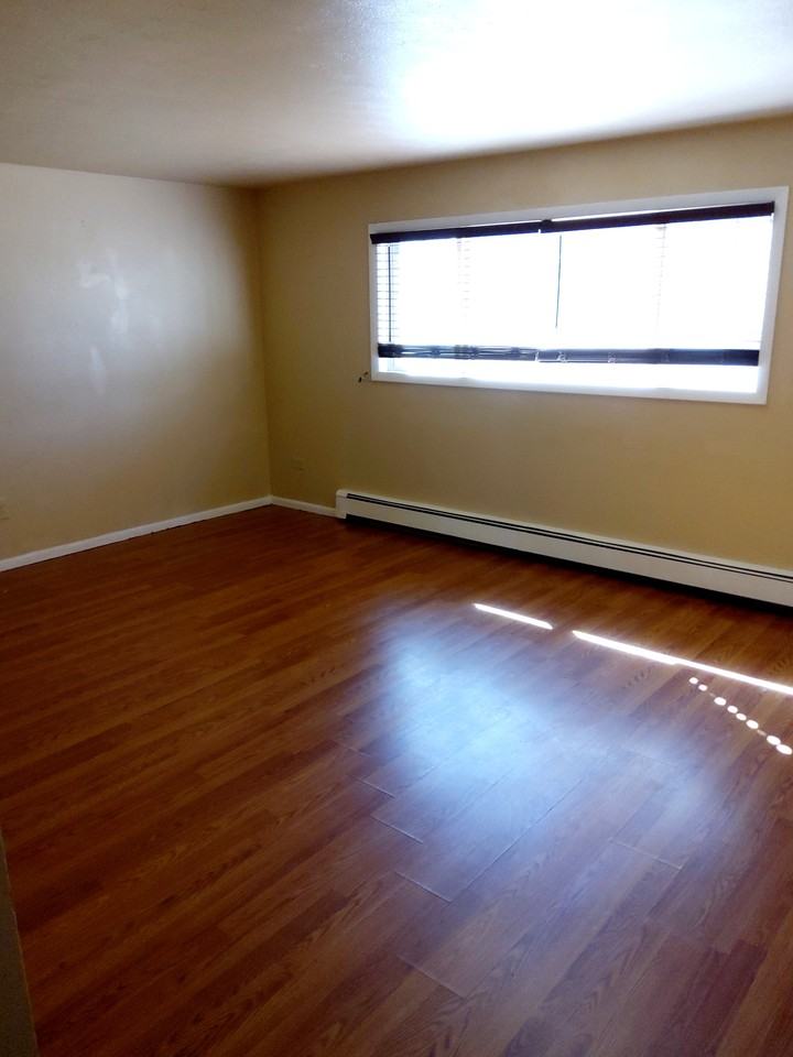 Quaint Northwest Property near Garden of the Gods! - Photo 3 of 7