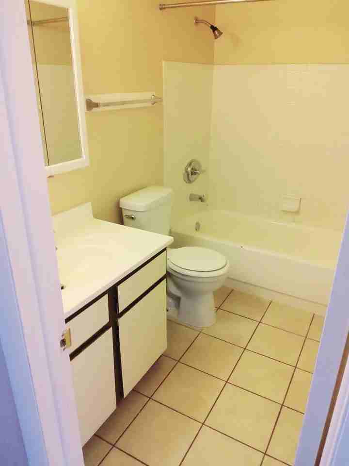 Quaint Northwest Property near Garden of the Gods! - Photo 5 of 7