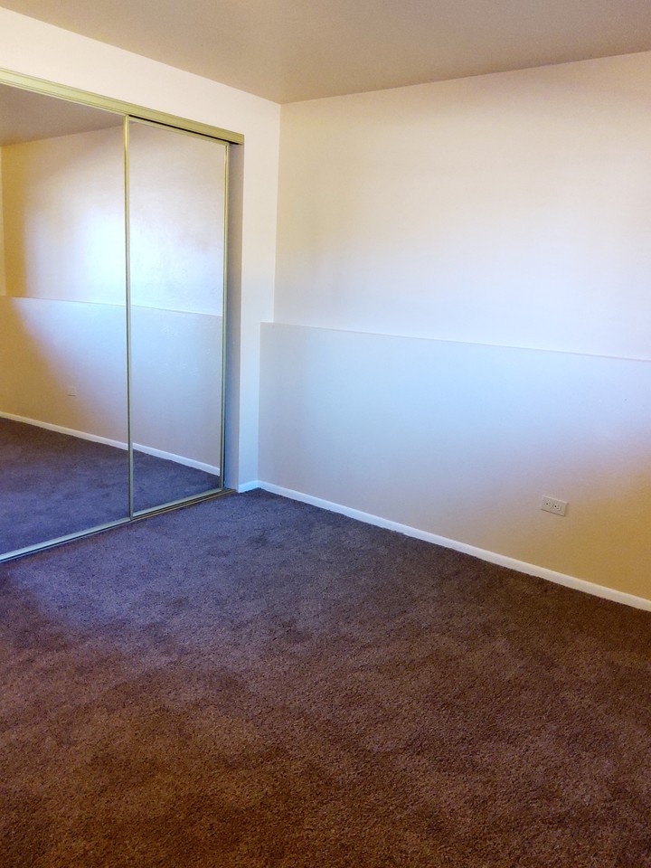 Quaint Northwest Property near Garden of the Gods! - Photo 7 of 7