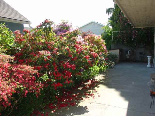 6-unit apartment  in Ballard neighborhood - Photo 2 of 9