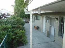 6-unit apartment  in Ballard neighborhood - Photo 3 of 9