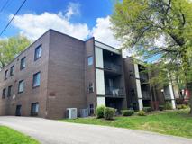 Friendship - Photo 1 of 1