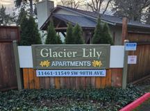 Glacier Lily - Photo 1 of 1