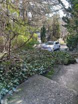 Vista Manor - Photo 1 of 1