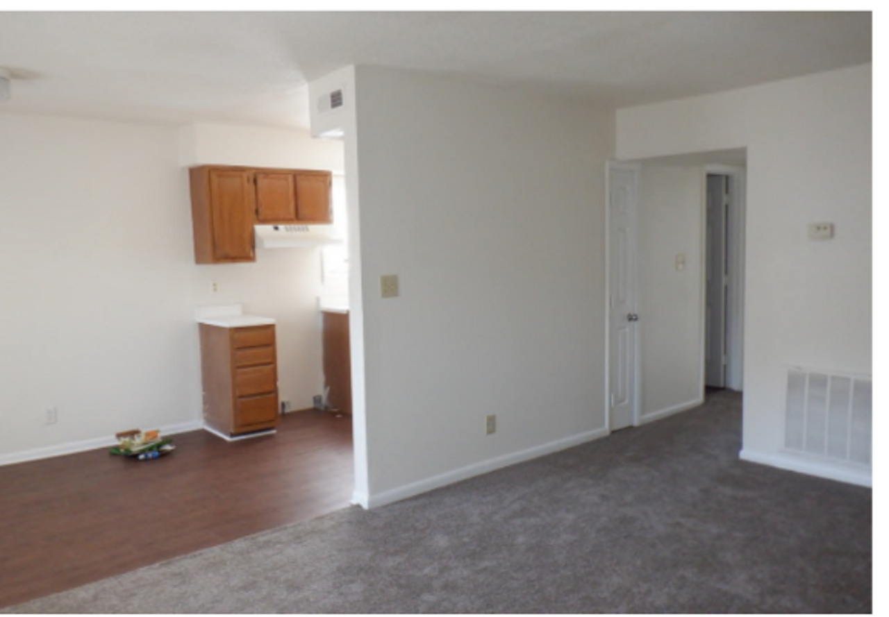 Alexander Homes, Greensboro: Welcome Home to Spacious Living - Photo 3 of 10