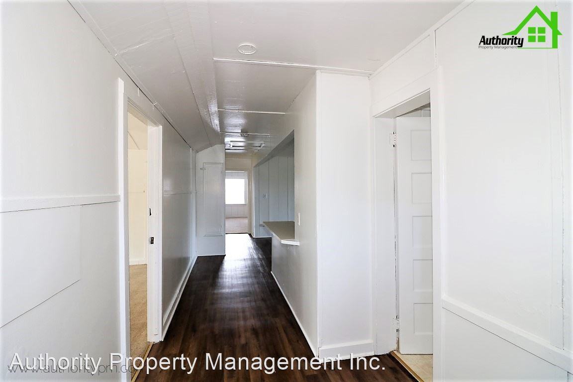 Magnolia - Photo 3 of 20