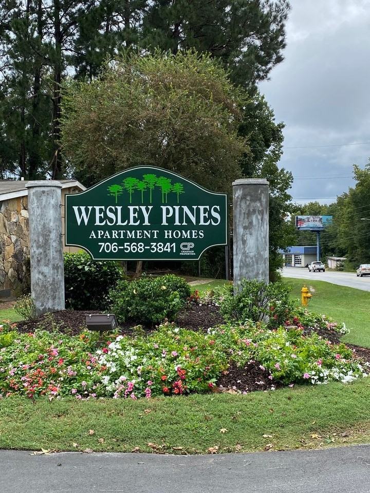 Wesley Pines - Photo 6 of 20