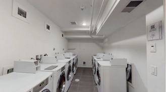Chic Studios in Historic Ballard Neighborhood! - Photo 1 of 1
