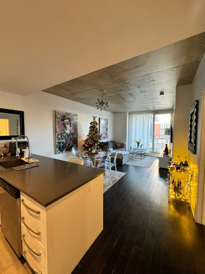 711 Rue de la Commune Ouest #309 - Photo 2 of 18